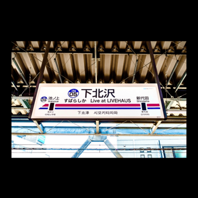Live at LIVE HAUS (Live at LIVE HAUS, Shimokitazawa, Tokyo, 2024)