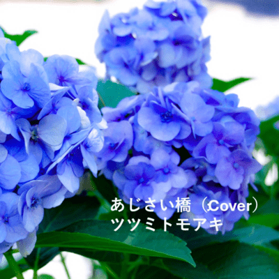 AZISAIBASHI (Cover)