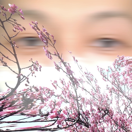 HAKANA