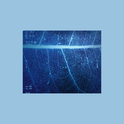 Roentgen (Retake)