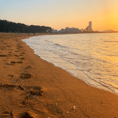 Your Flower Language (feat. Hanakuma Chifuyu)