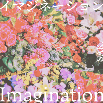 Imagination