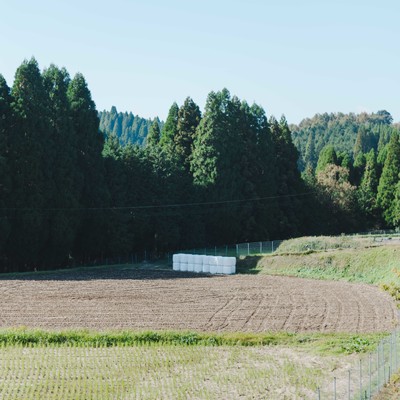 Hibi -Music for Green Farm Kuju-