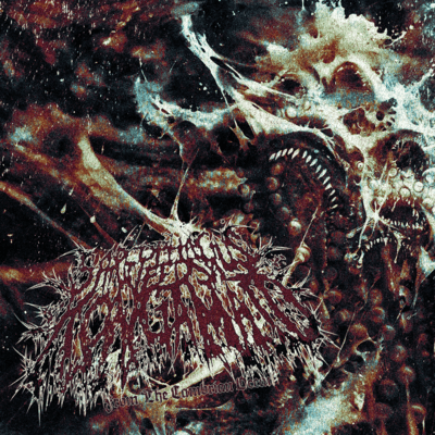 From the Cambrian Ocean