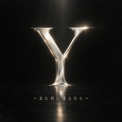 Y ~If I Could See You Again~