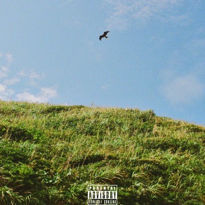 BIRDSTRIKE (feat. F1VE as J5T)