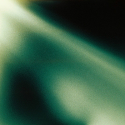 fra skogen mot mångata