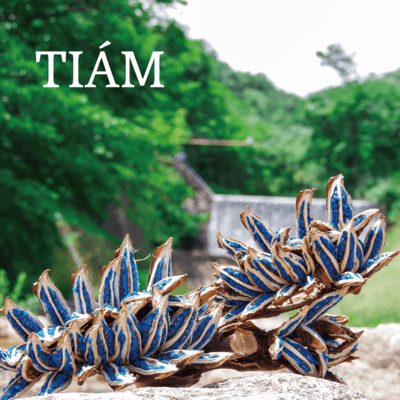 TIAM