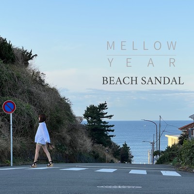 Beach Sandal (KR)