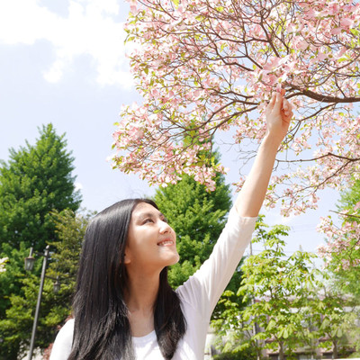 Shiawase biyori