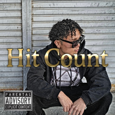 Hit Count