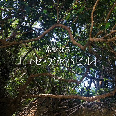 Tochiwanaru koseayahabiru