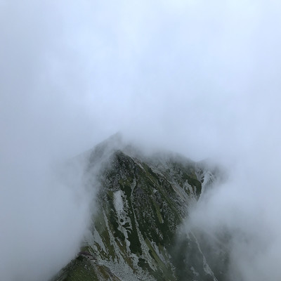 Flowers blooming on Mount Rita