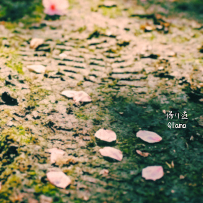 Coming back (blossom remix)