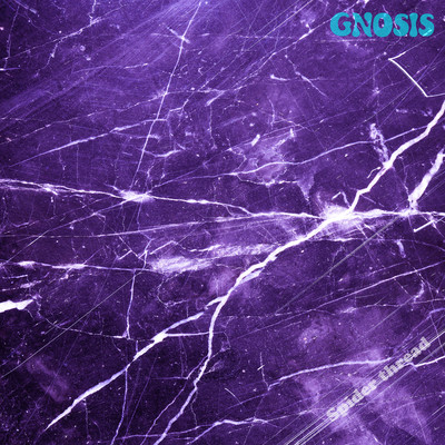 Spider thread