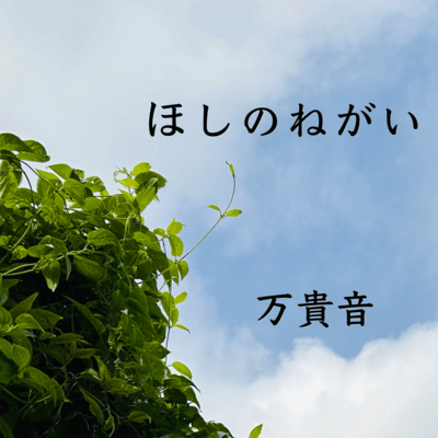 Hoshi no Negai