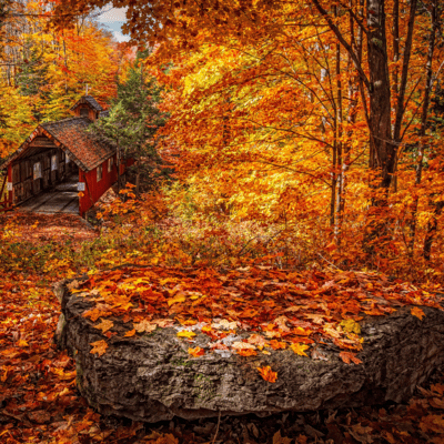 Autumn Landscape ~PianoVersion~ (~PianoVersion~)