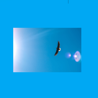 With the wind
