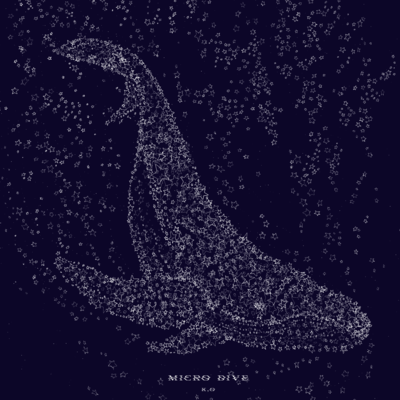 MICRO DIVE