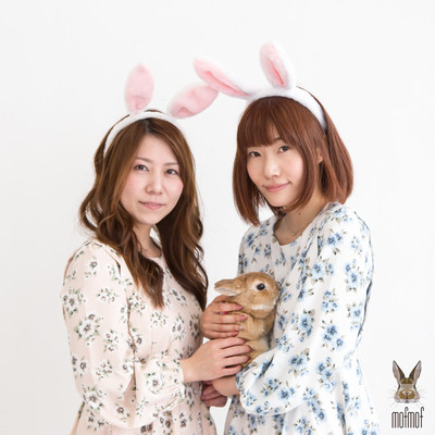 Please let me mofmof