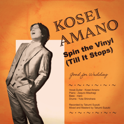Spin the Vinyl (Till It Stops)