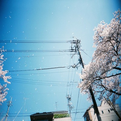 blow