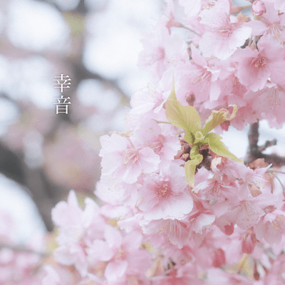Shion