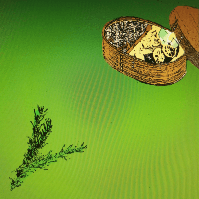 rosemary