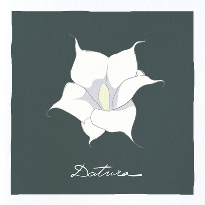 Datura