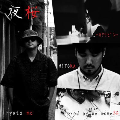 Night cherry blossom (feat. HITOKA & Kataribito)