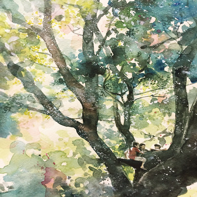 sunlight filtering through trees