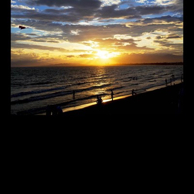 See and what happened this morning