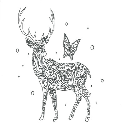 starry sky and our rules