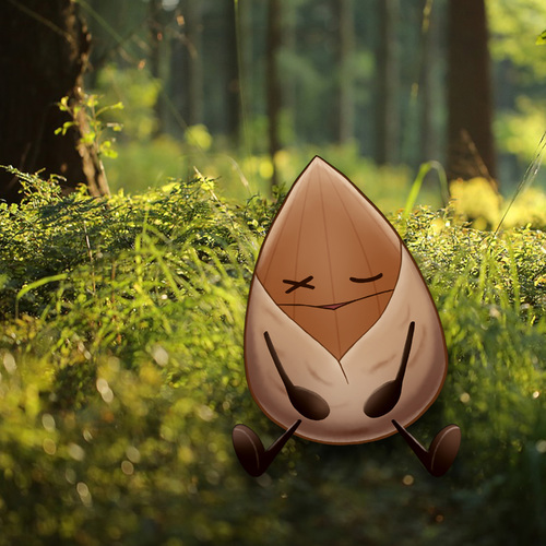 Healing music Recommended healing BGM