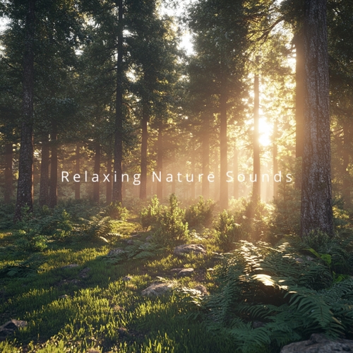 Relaxing Nature Sounds
