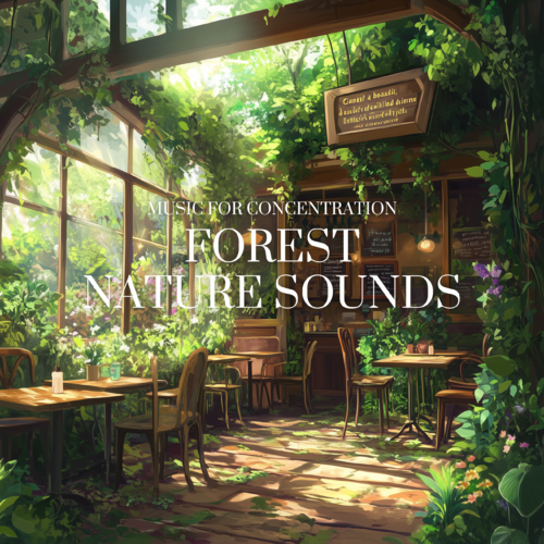 Music for Concentration Nature Sounds Forest
