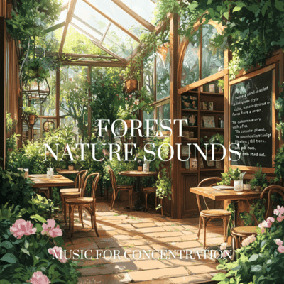 Woodland Serenity: Peaceful Sounds for Focus