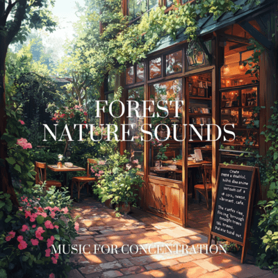 Forest Harmony: Relaxing Nature Sounds for Study