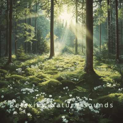 Ocean Waves: Soothing Sounds for Serenity