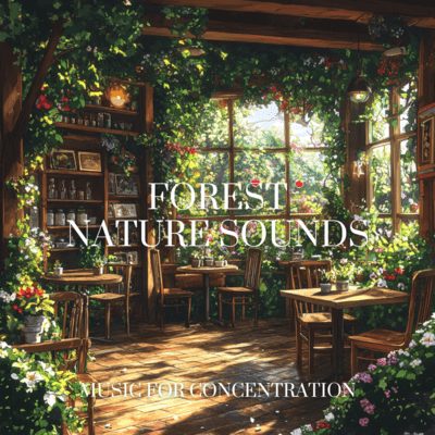 Tranquil Forest: Calming Sounds for Concentration