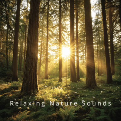 Dreamy Nature: Sounds for Peaceful Sleep