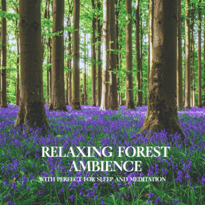 Relaxing Forest Ambience with Perfect for Sleep and Meditation