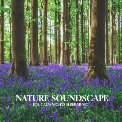 Nature Soundscape for Calm Nights Sleep Music