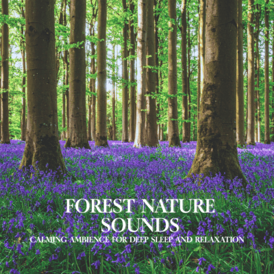 Forest Nature Sounds Calming Ambience for Deep Sleep and Relaxation