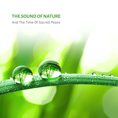 The Sound Of Nature And The Time Of Sacred Peace