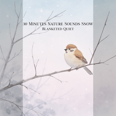 30 Minutes Nature Sounds Snow-Blanketed Quiet