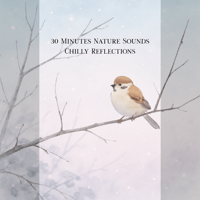 30 Minutes Nature Sounds Chilly Reflections