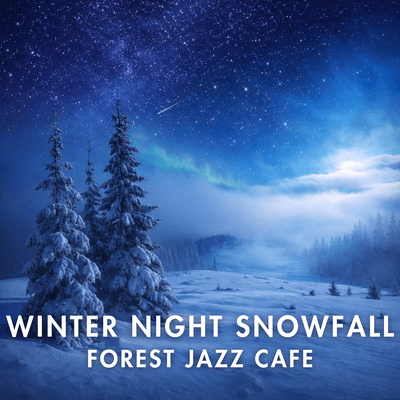 Winter Night Snowfall