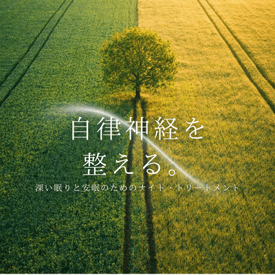 Regulating the autonomic nervous system ~ Night treatment for deep and restful sleep