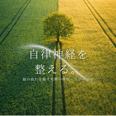 Regulates the autonomic nervous system. ~ Ultimate sleep and recovery to relieve brain fatigue